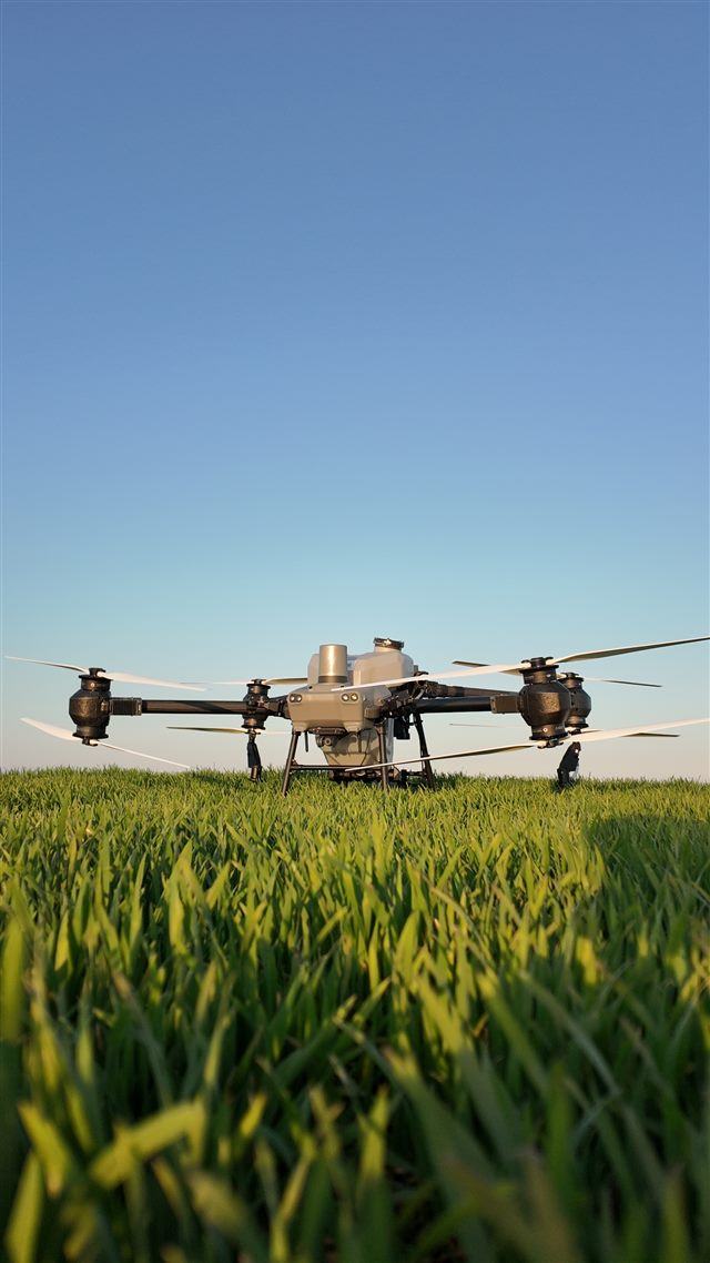 Dron u letu iznad zelenog useva